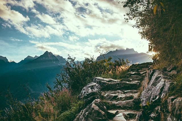 el amor y el ego