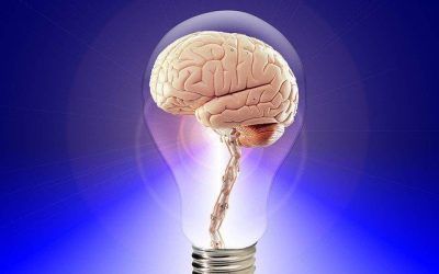 ¿Neurosexismo?
